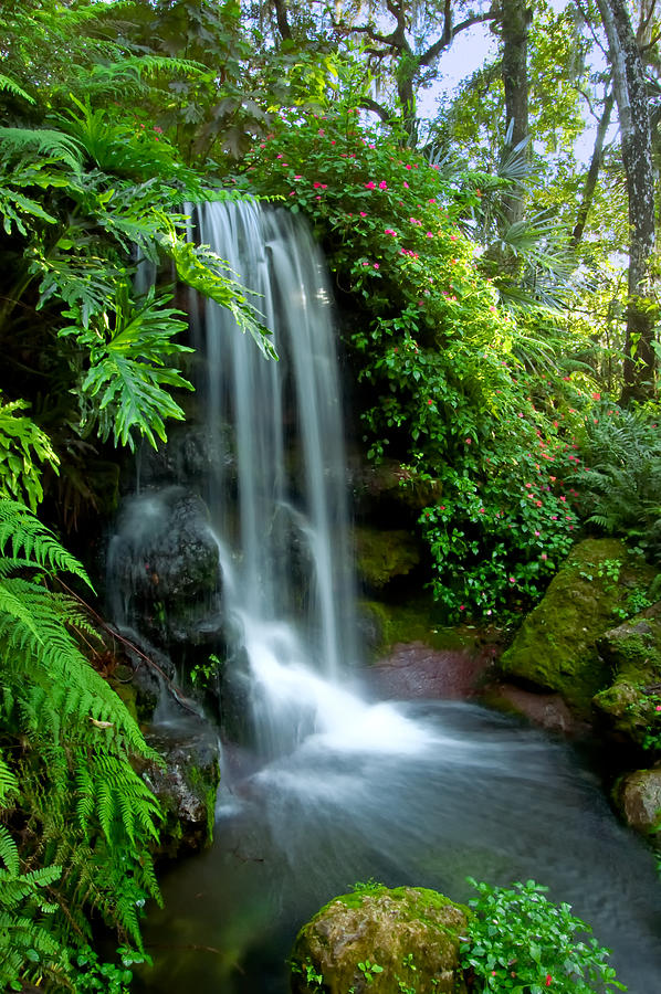 Natural Spring Waterfall Photograph by Rich Leighton