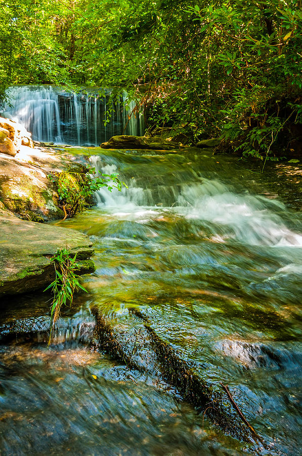 Nature Around A Small Creek In The Forest Woods #1 Photograph by Alex Grichenko
