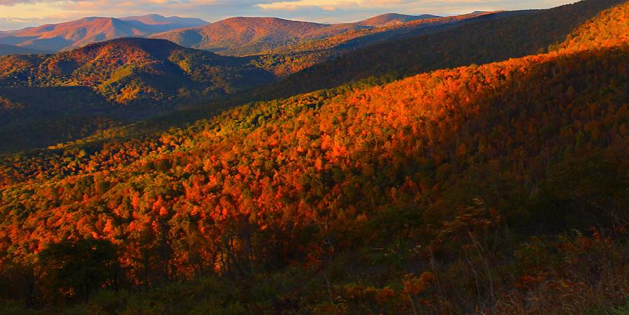 Autumn Photograph - Natures Color Palette by Candice Trimble Autumn Photograph - Natures Color Palette by Candice Trimble