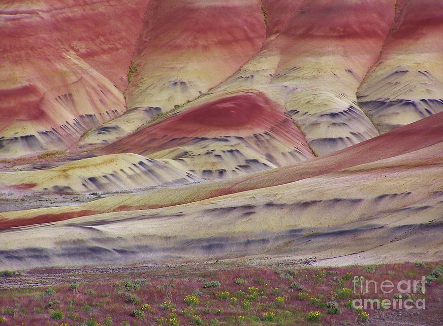 Painted Hills Photograph - John Day Fossil Beds Painted Hills by Michele Penner