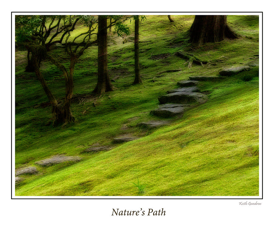 Natures Path Photograph by Keith Gondron