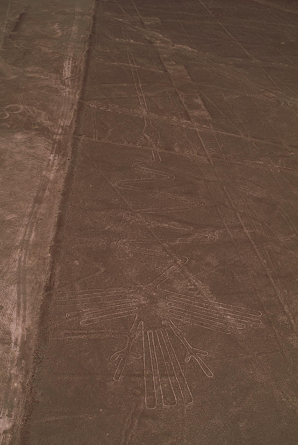 Nazca Lines #1 Photograph by David Nunuk/science Photo Library