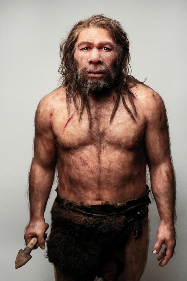 Neanderthal Model Photograph by S. Entressangle/e. Daynes