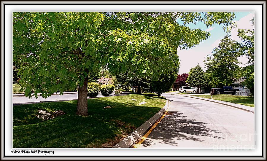 Tree Photograph - Neighborhood #1 by Bobbee Rickard
