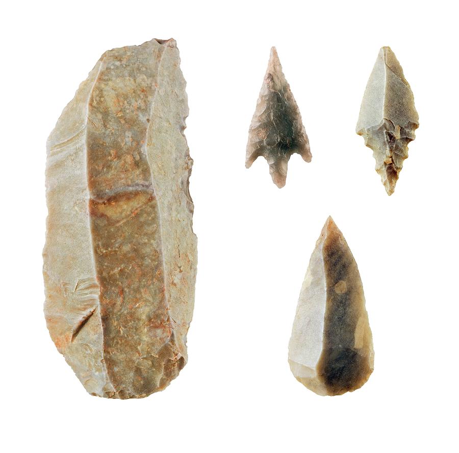 Prehistoric Photograph - Neolithic Flint Tools. #1 by Geoff Kidd/science Photo Library
