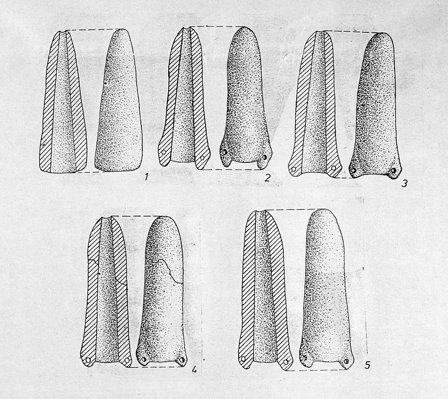 Neolithic Phallus Figures #1 Photograph by Granger