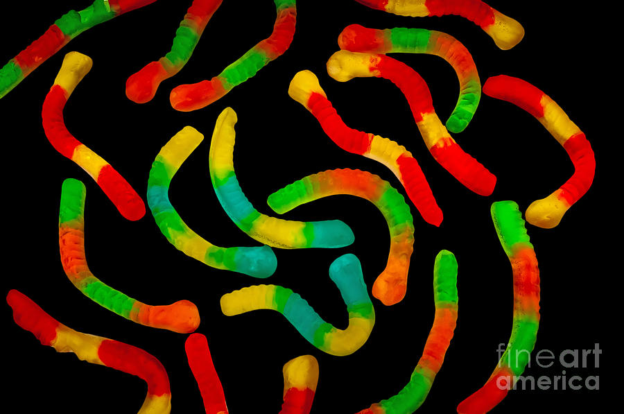 Neon Gummy Worms Photograph by Anthony Sacco