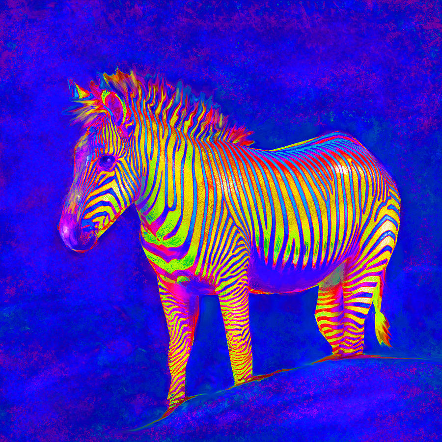 Neon Zebra 2 #2 Digital Art by Jane Schnetlage