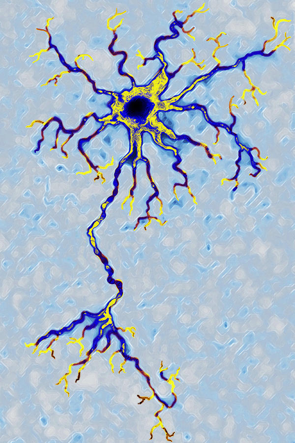 Neuron #1 Photograph by James Cavallini