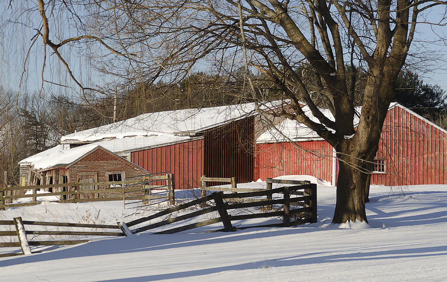 New England Barn #1 Photograph by Rick Mosher