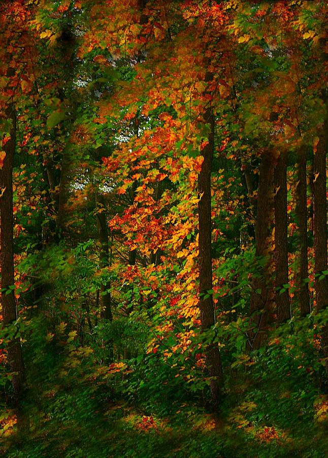 New England Color #2 Photograph by Barbara S Nickerson