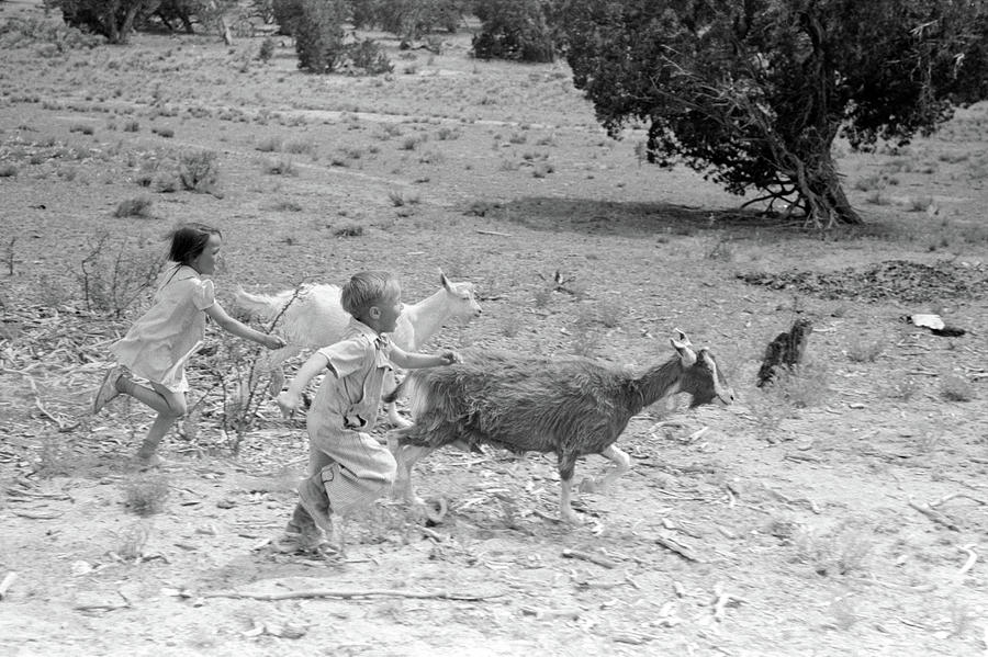 New Mexico Children, 1940 #1 Photograph by Granger