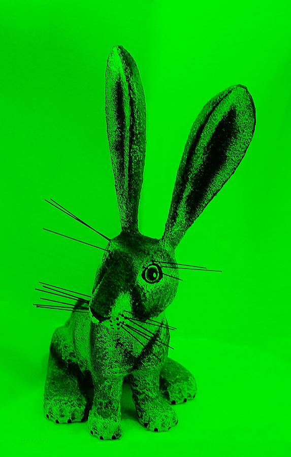 New Mexico Rabbit Green #1 Photograph by Rob Hans