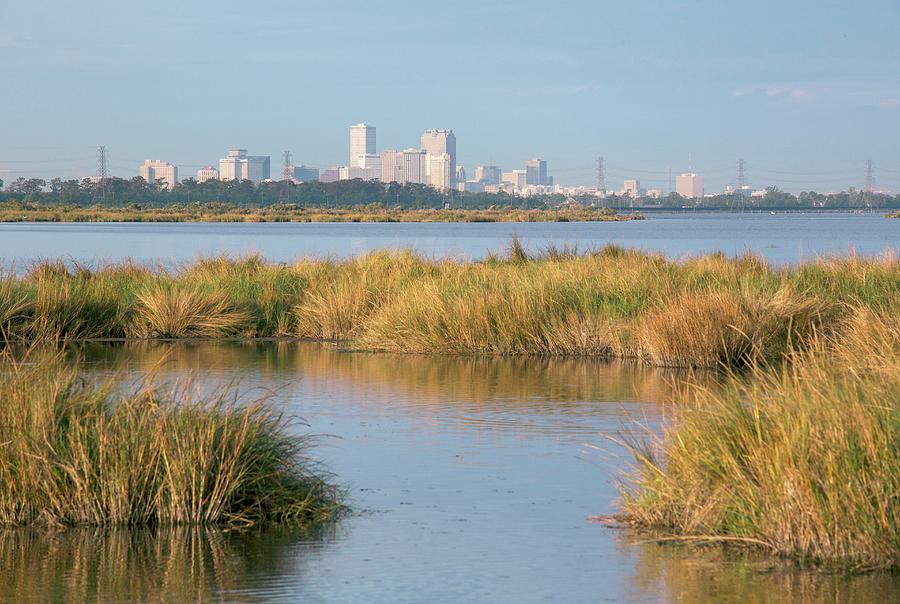 New Orleans And Surrounding Wetlands #1 Photograph by Jim West