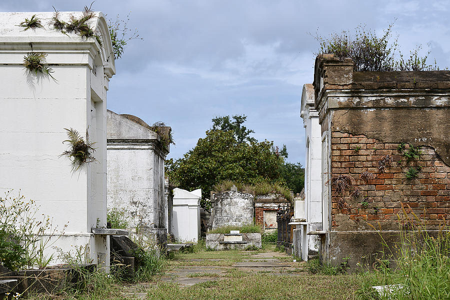 New Orleans Lafayette Cemetery #1 Photograph by Alexandra Till