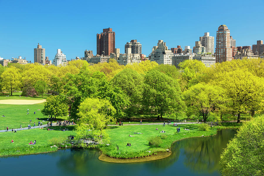 New York City, Central Park by Sylvain Sonnet