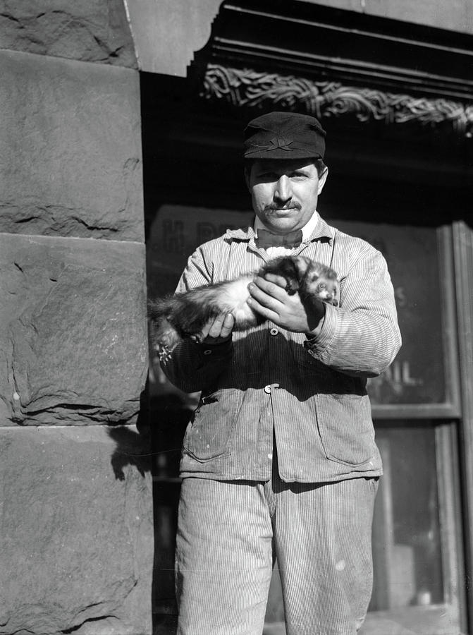 New York Rat Catcher, C1908 Photograph by Granger - Pixels