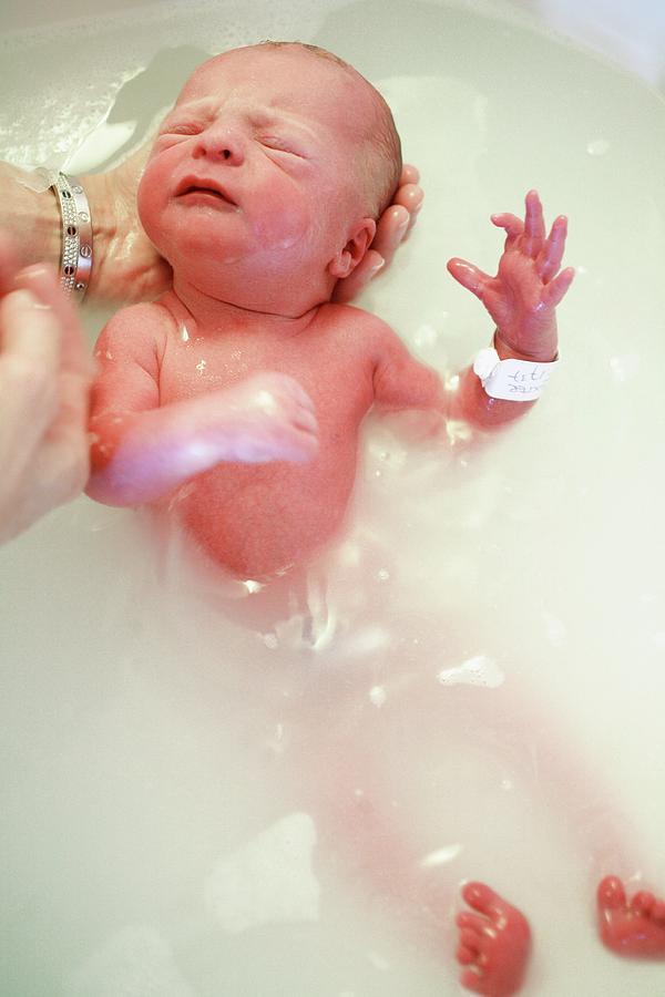 Human Photograph - Newborn Baby Being Bathed #1 by Mauro Fermariello/science Photo Library