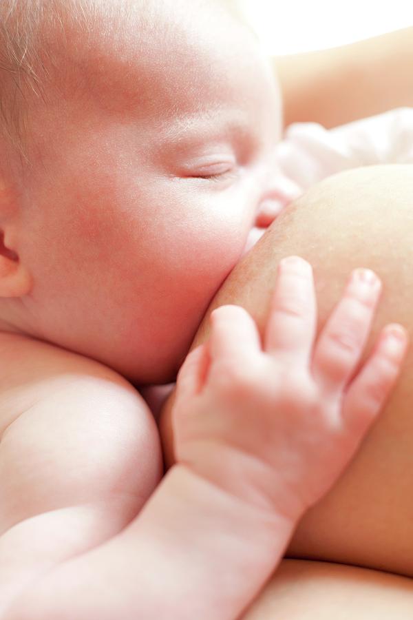 Newborn Baby Breastfeeding #1 Photograph by Ian Hooton/science Photo Library