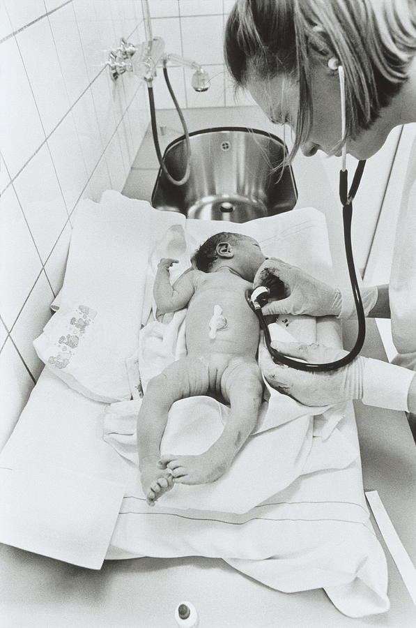 Newborn Baby #1 Photograph by Henny Allis/science Photo Library