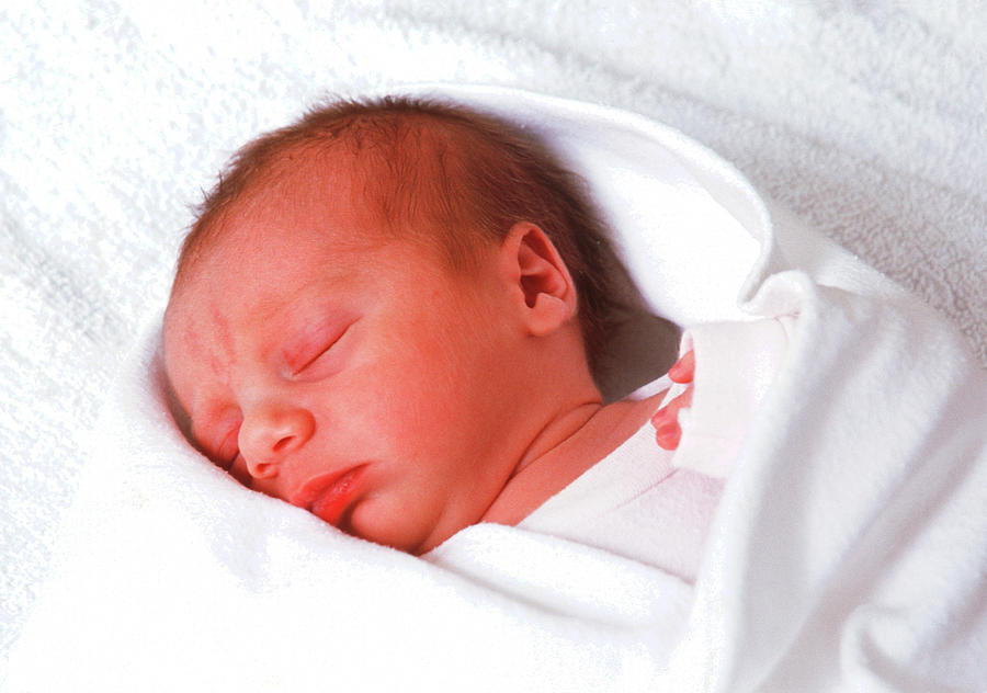 Newborn Baby Photograph - Newborn Baby #1 by Simon Fraser/science Photo Library