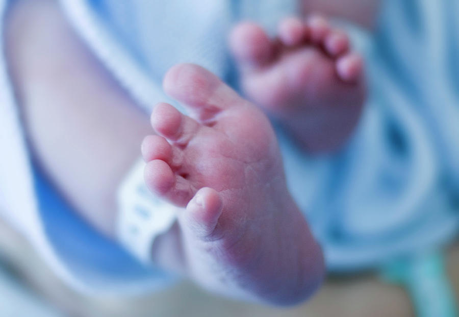 Newborn Baby&#39;s Feet Photograph by Samuel Ashfield/science Photo Library