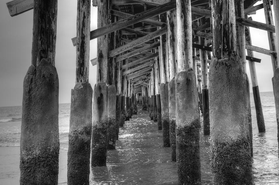 Newport Beach Pier Photograph by Bill Hamilton