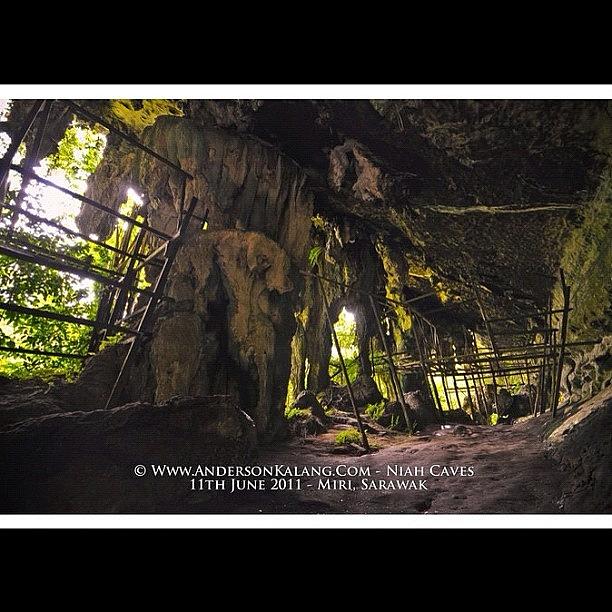 Jungle Photograph - #niahcave #miri #sarawak #malaysia #1 by Anderson Kalang