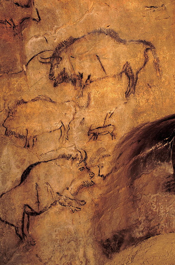 Niaux Cave Paintings #1 Photograph by Pascal Goetgheluck/science Photo Library