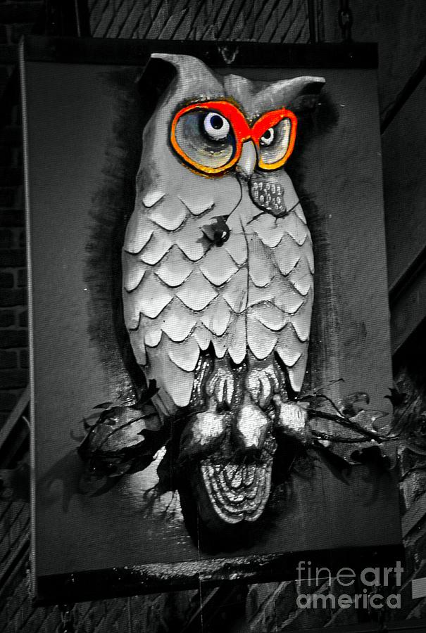 Night Owl #1 Photograph by Newel Hunter