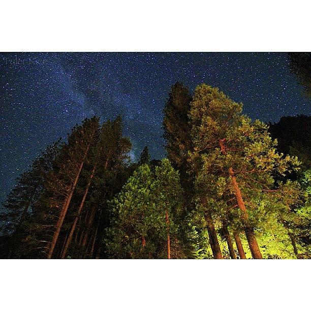 Night Sky || Yosemite National Park | #1 Photograph by Tyler Rice
