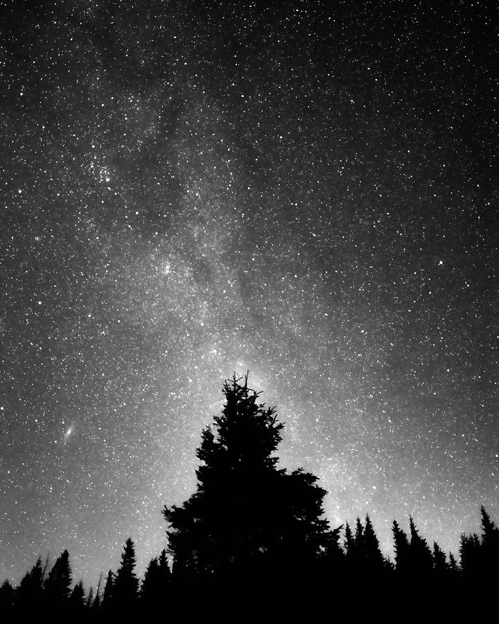 Night Sky #1 Photograph by Misha Kaminsky