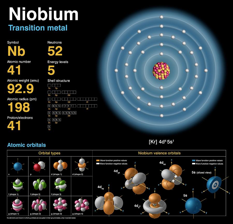 Shell Photograph - Niobium #1 by Carlos Clarivan