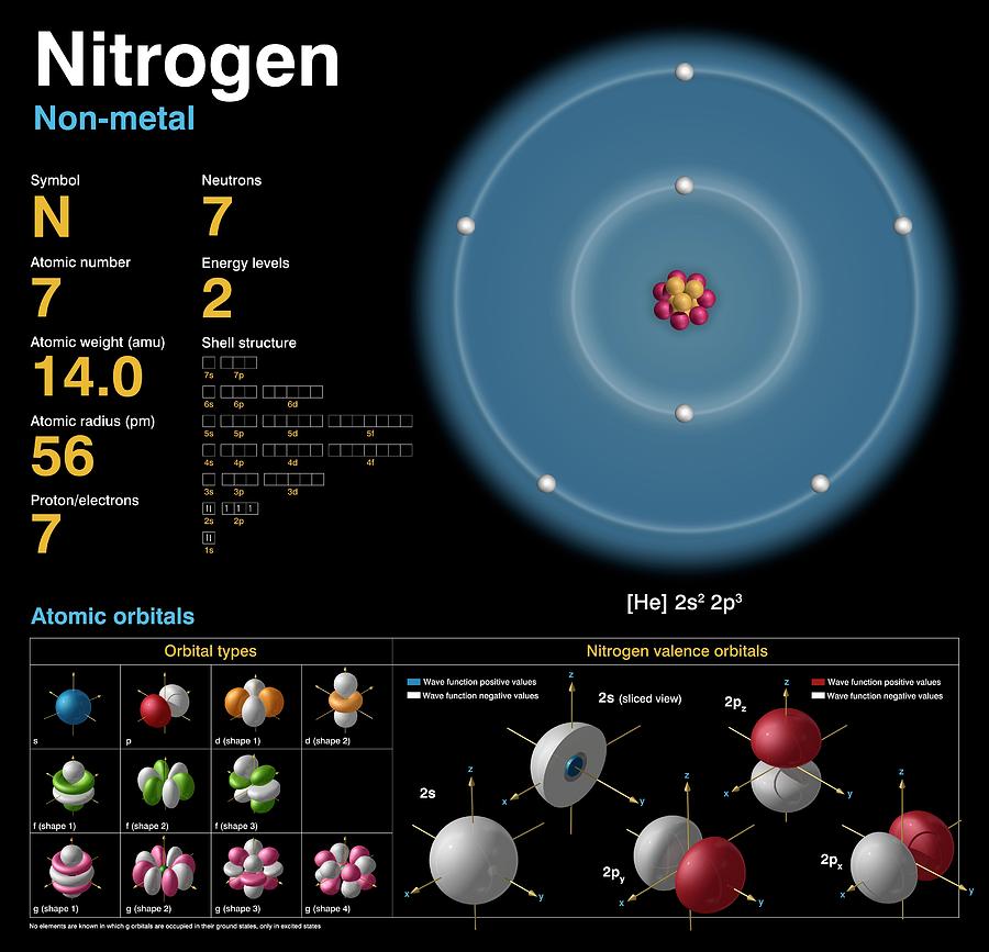 Nitrogen #1 Photograph by Carlos Clarivan
