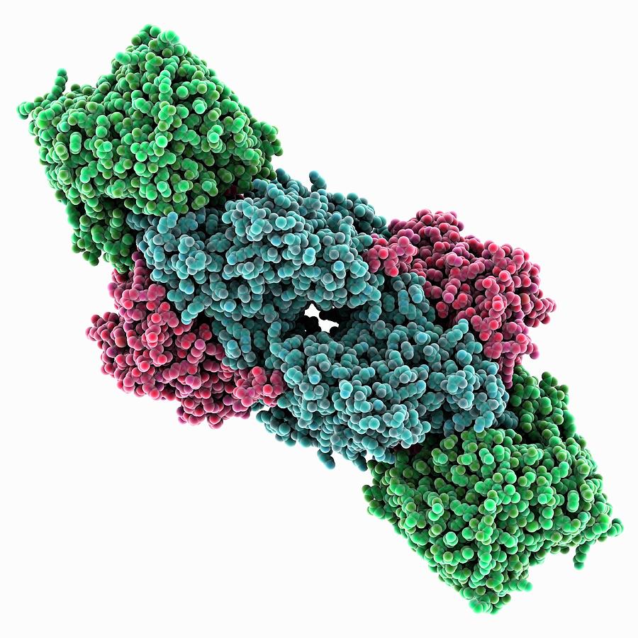 Nitrogenase Complex Photograph by Laguna Design/science Photo Library