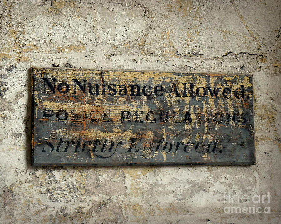 No Nuisance Allowed Photograph by Valerie Reeves