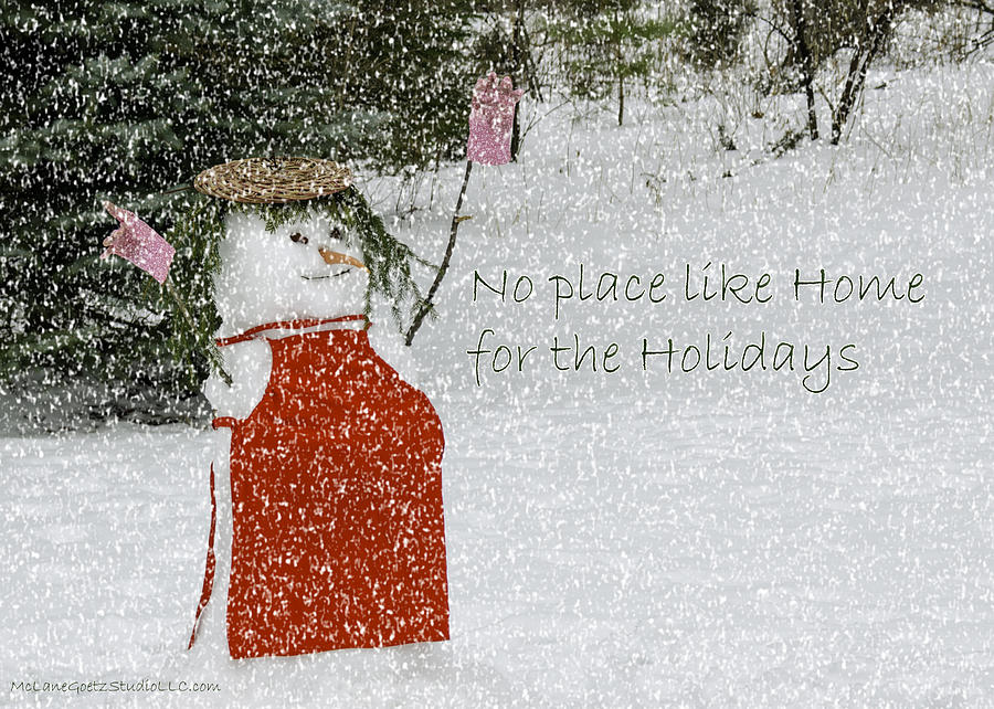 Winter Photograph - No Place Like Home #1 by LeeAnn McLaneGoetz McLaneGoetzStudioLLCcom