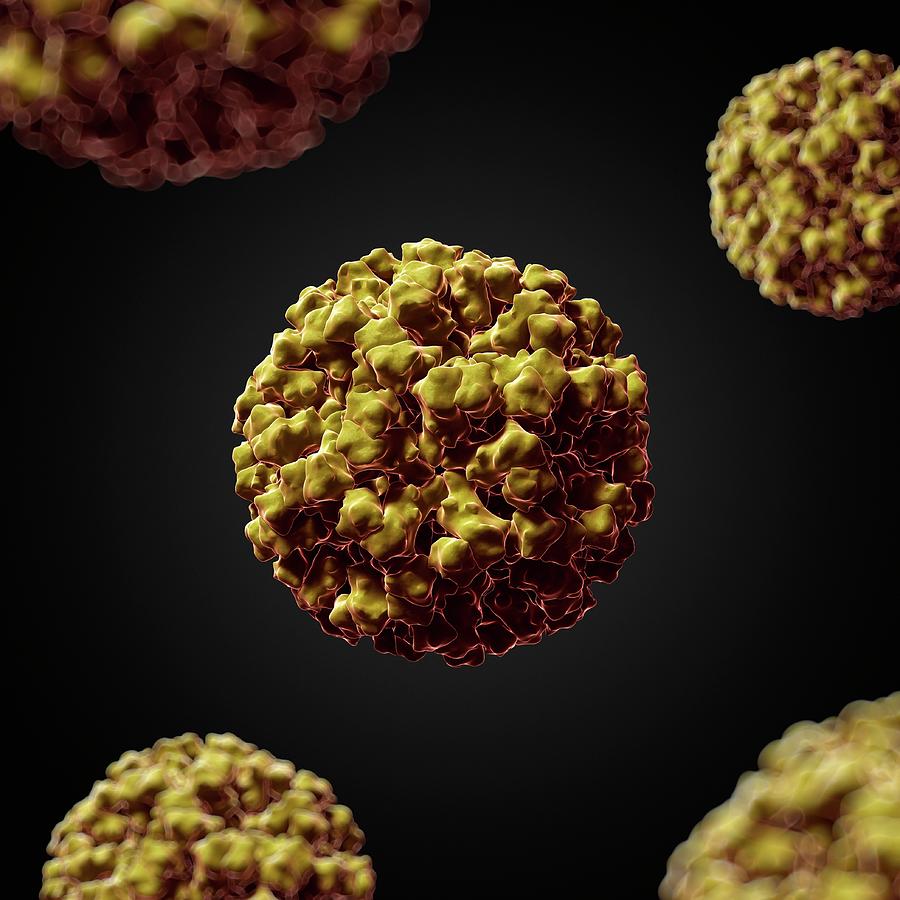 Norovirus 1 Photograph By Scieproscience Photo Library Pixels