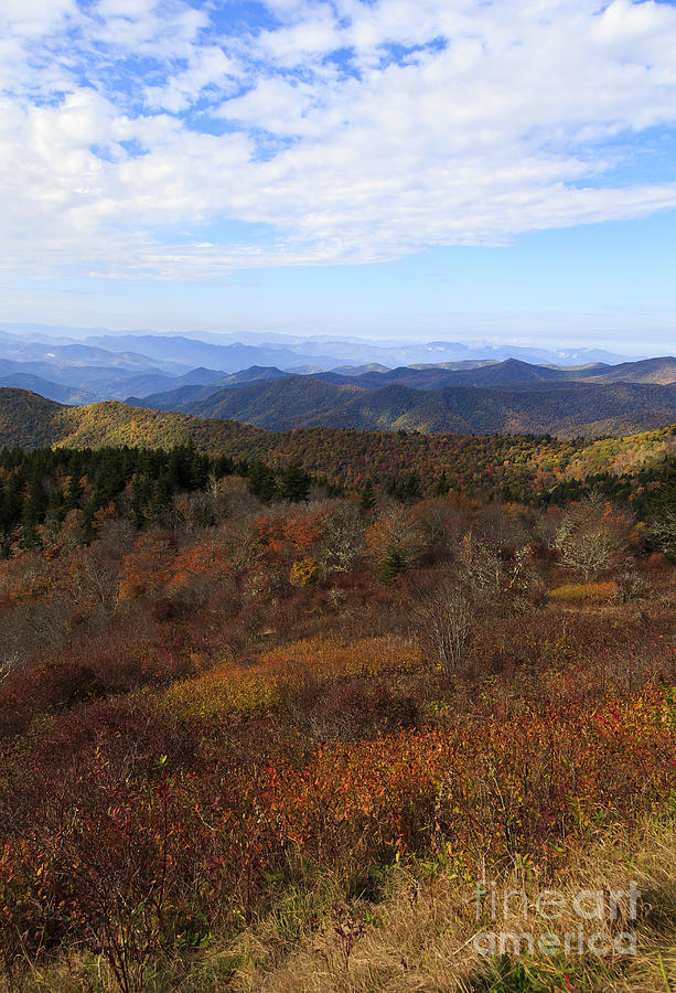 North Carolina Mountains #1 Photograph by Jill Lang