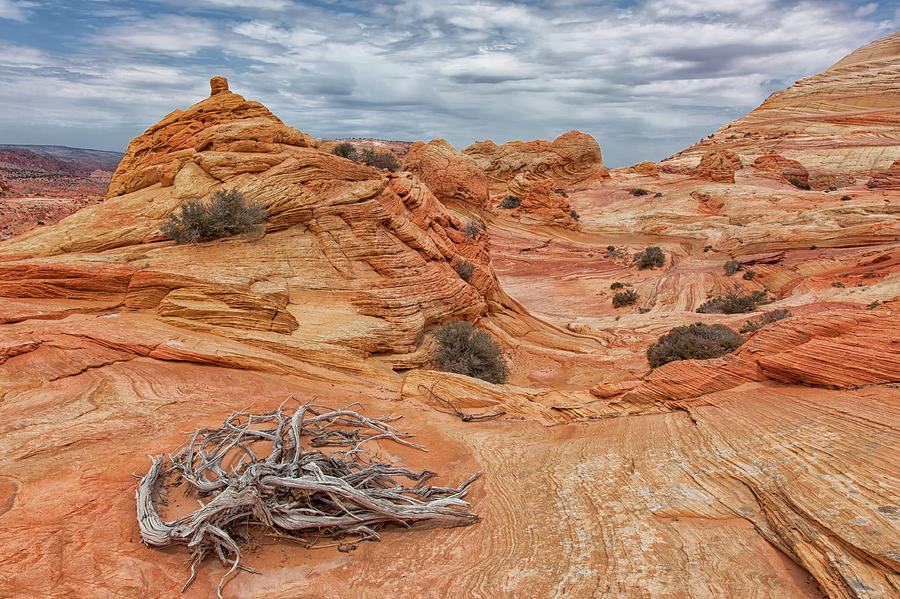 North Coyote Buttes #1 Photograph by Patrick Leitz