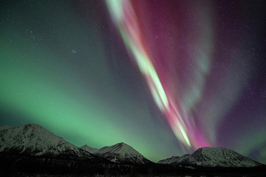 Northern Lights, Annie Lake, Yukon #1 Photograph by Jonathan Tucker