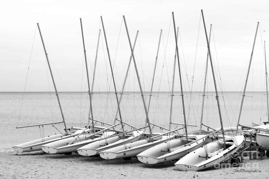 Northwestern University Sailing Beach Photograph by University Icons