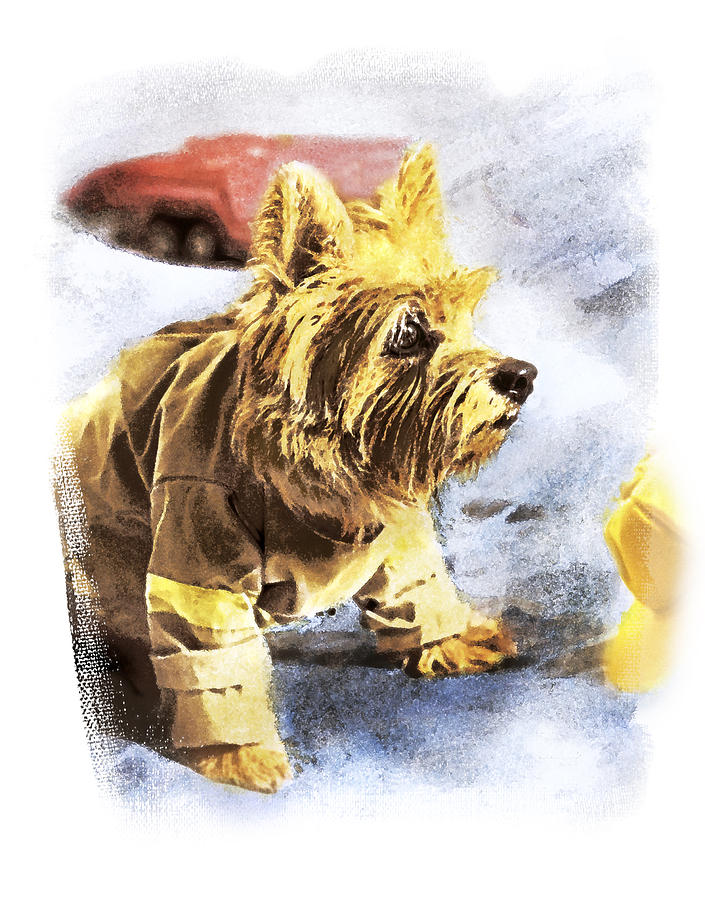 Norwich Terrier Fire Dog #2 Photograph by Susan Stone