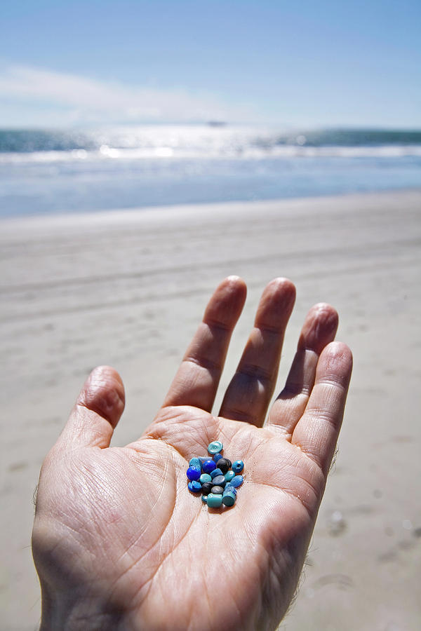 Beach Photograph - Nurdles On A Beach #1 by Education Images/citizens Of The Planet/uig/science Photo Library