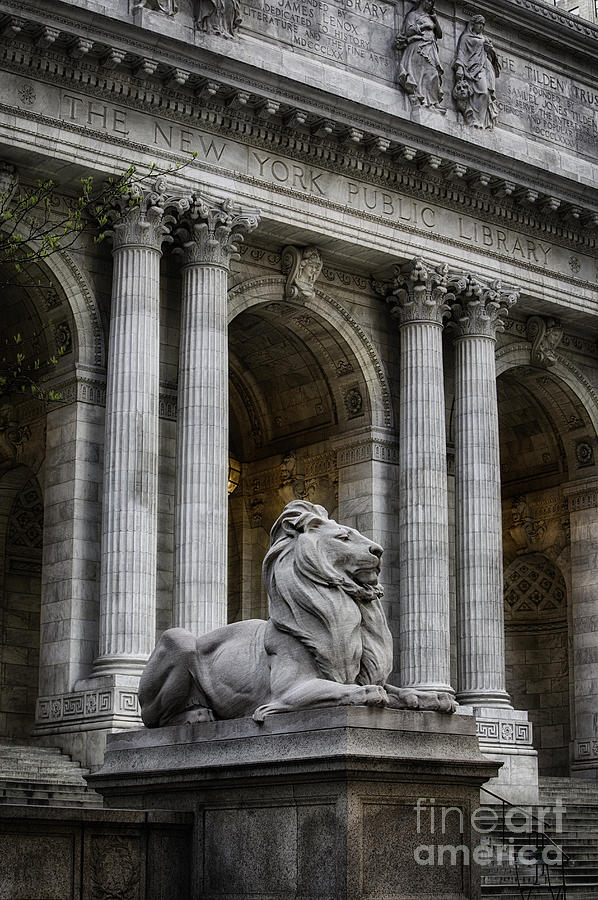 NY Library Lion #2 Photograph by Jerry Fornarotto