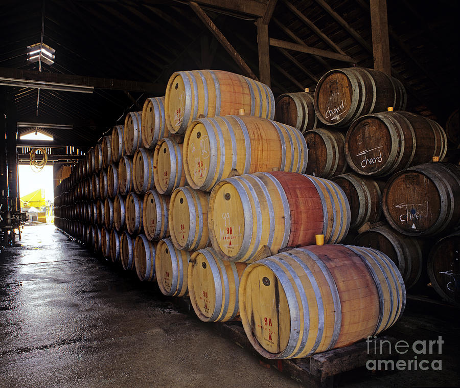 Oak Barrels at Ventana Vineyards #1 Photograph by Craig Lovell