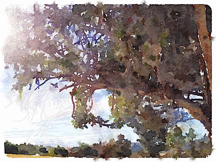 Oak View Digital Art by Shannon Grissom