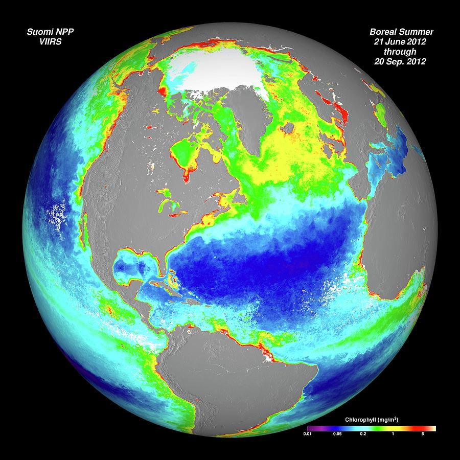 Ocean Chlorophyll Concentrations Photograph by Nasa/suomi Npp/norman ...