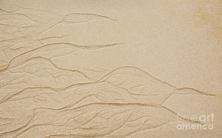Beach Photograph - Ocean Sand Art #2 by Iris Richardson
