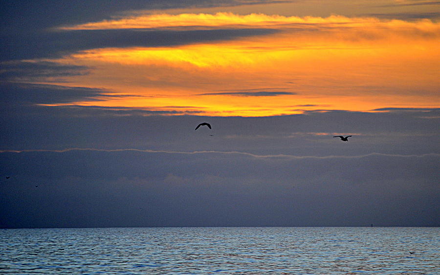 Ocean Sunset #1 Photograph by AJ  Schibig